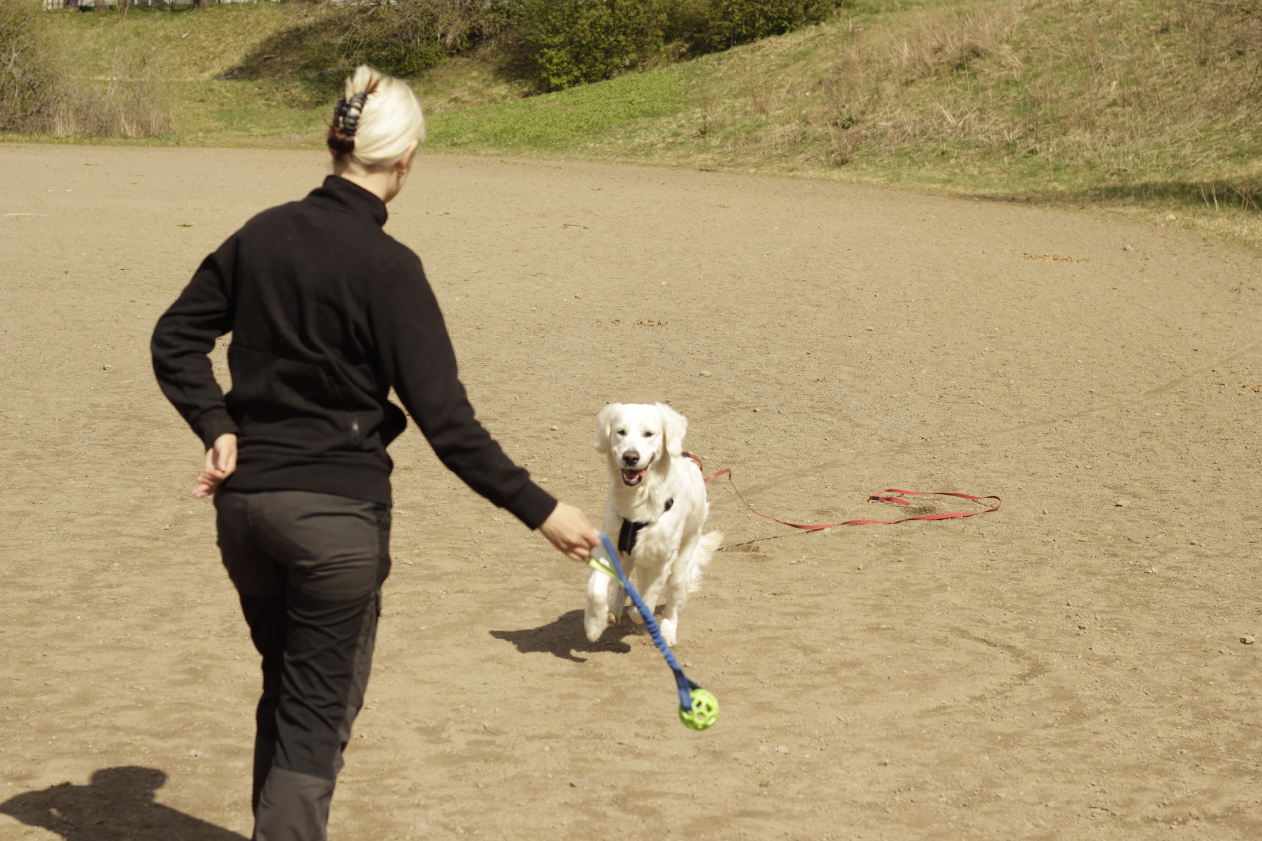 Hundkurser Borås