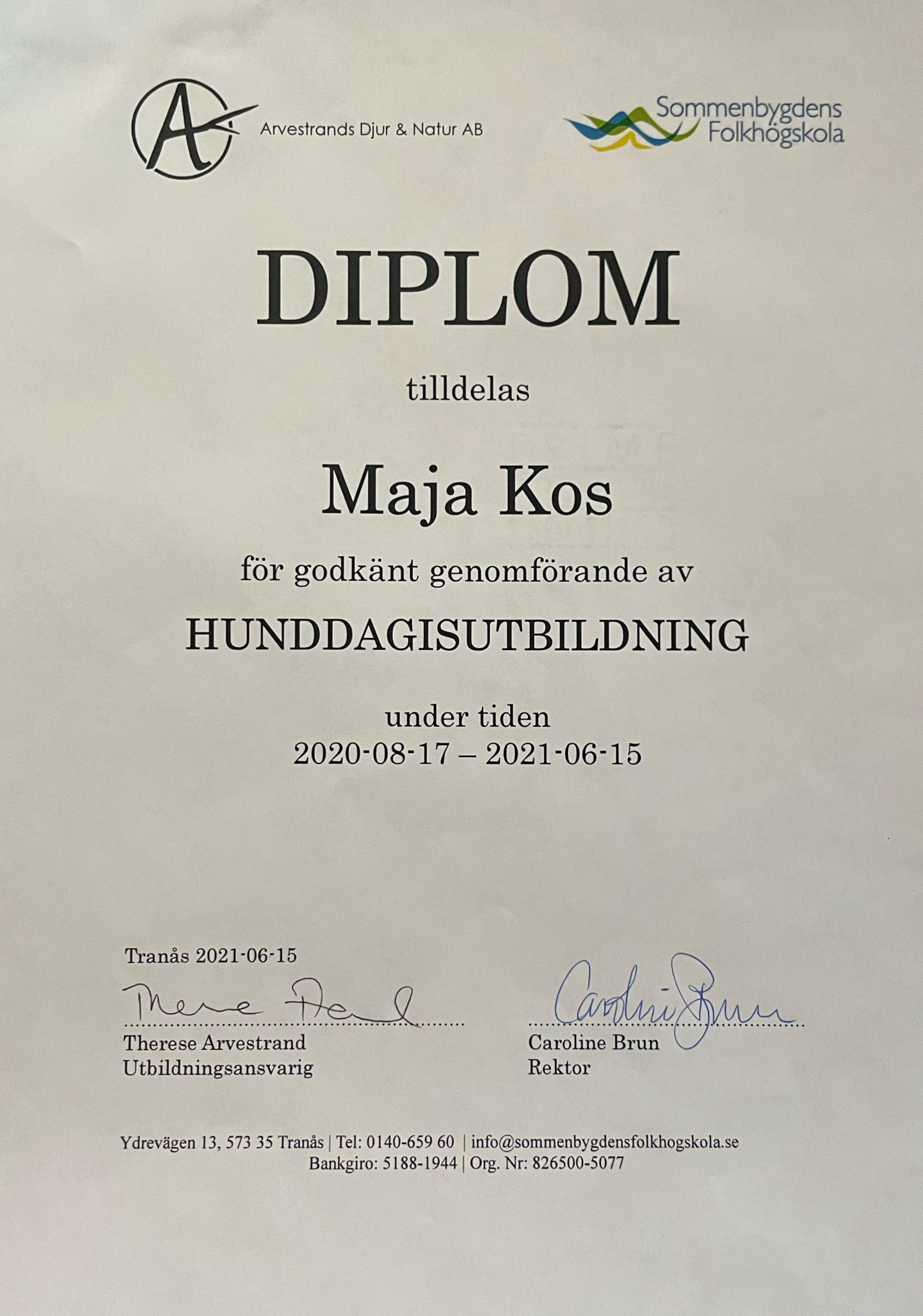 Diplom hunddagis