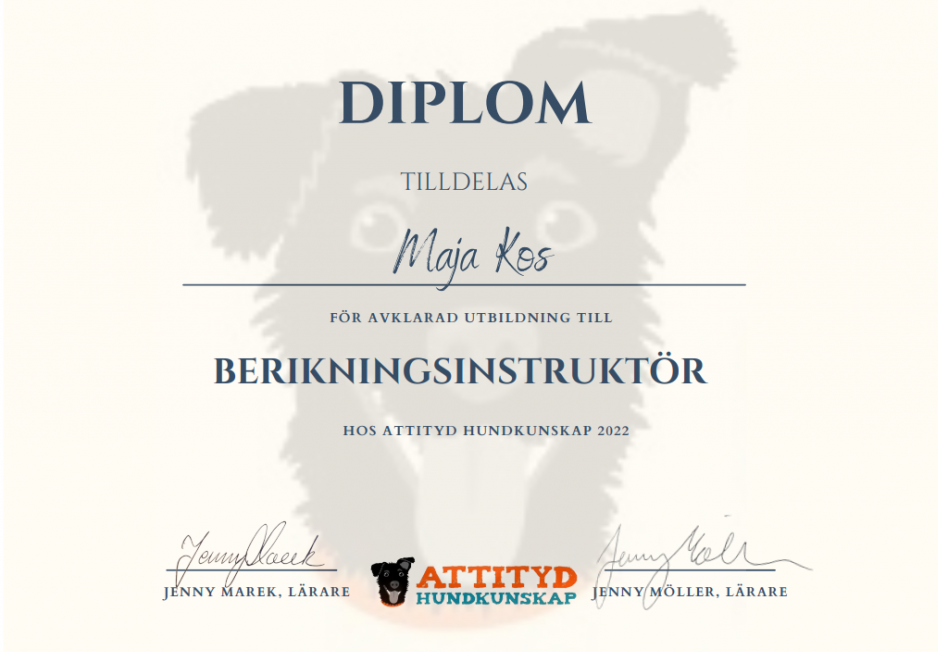 Berikningsinstruktor-Diplom-e1681885719107-1024x723_ny'