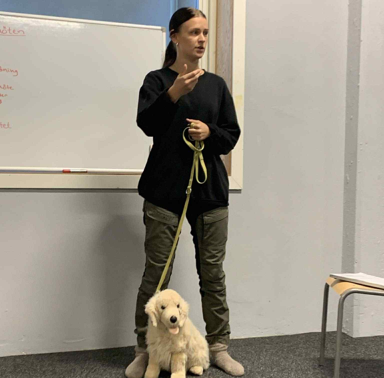 Hundkurser Borås