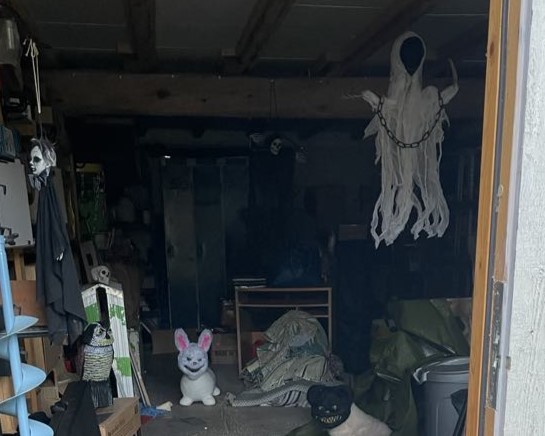 Hundkurser Borås